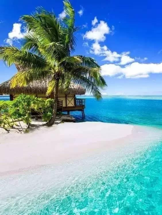 夏日骑行